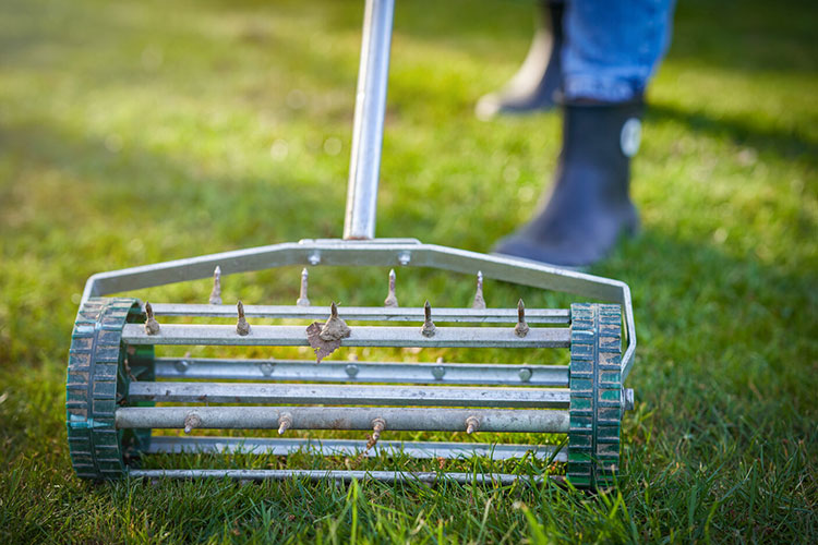 Why and when you should aerate your lawn?