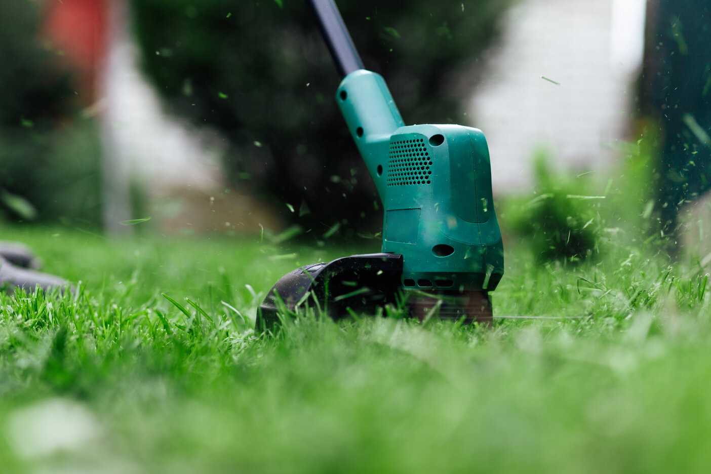 Is it better to cut grass short or long?
