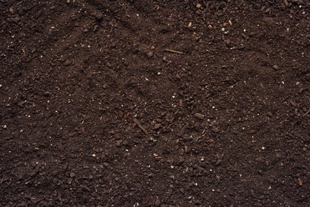 How to improve your soil