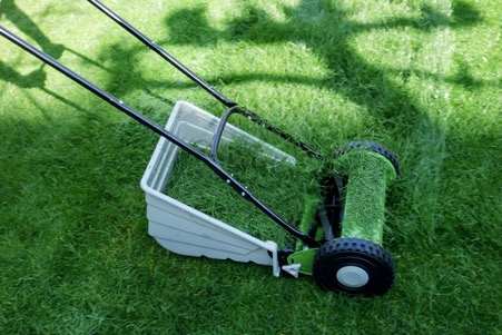 When should I mow the lawn after winter?