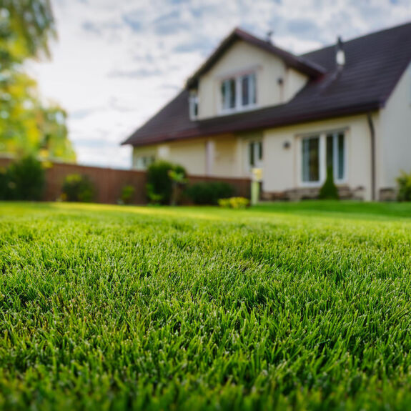 Pelouse dense, verte et bien entretenue devant une maison résidentielle, résultat d’un épandage de calcium pour équilibrer le pH du sol et favoriser une croissance saine du gazon.