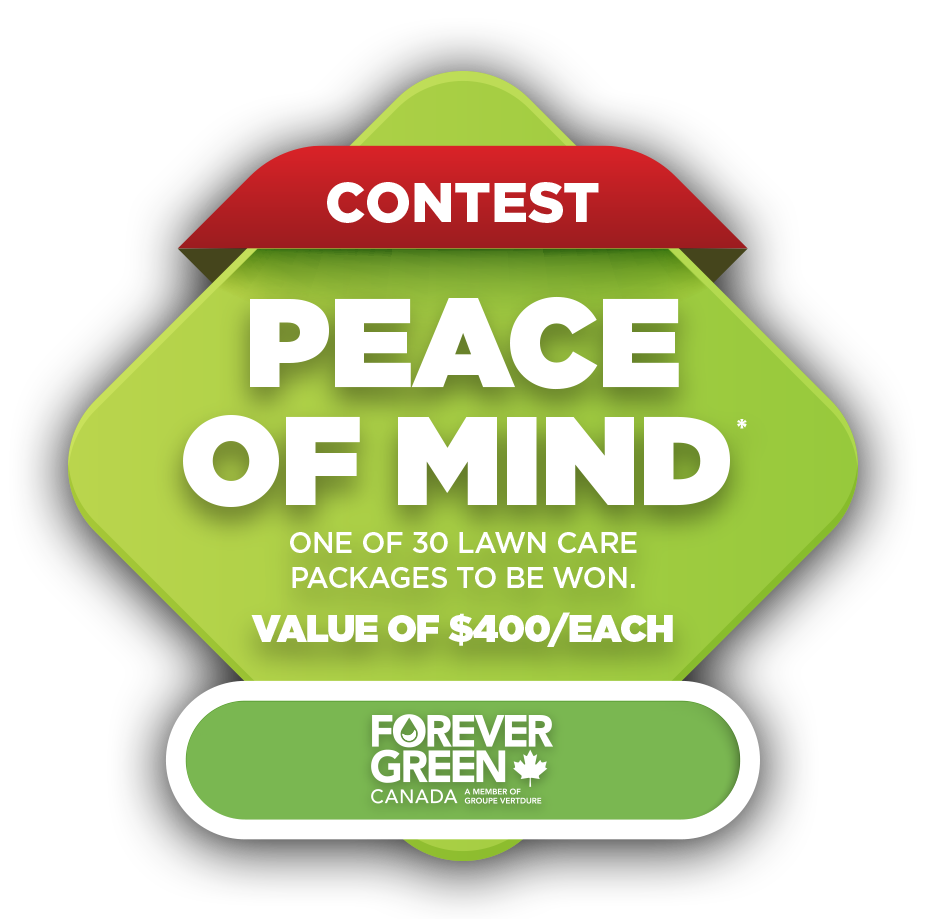 Peace of mind contest